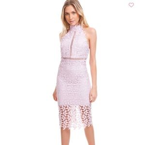 Bardot pink Lace Gemma Dress